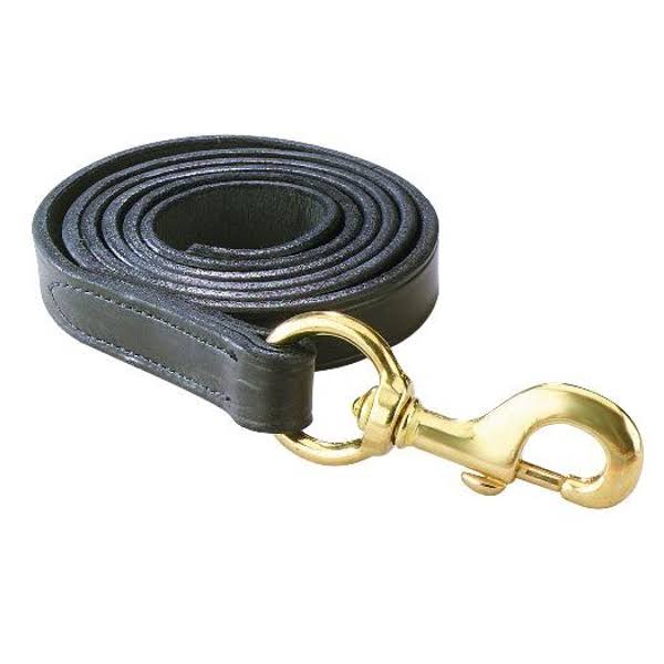 Perri's Leather Lead with Brass Snap PY_QS0XTOAN