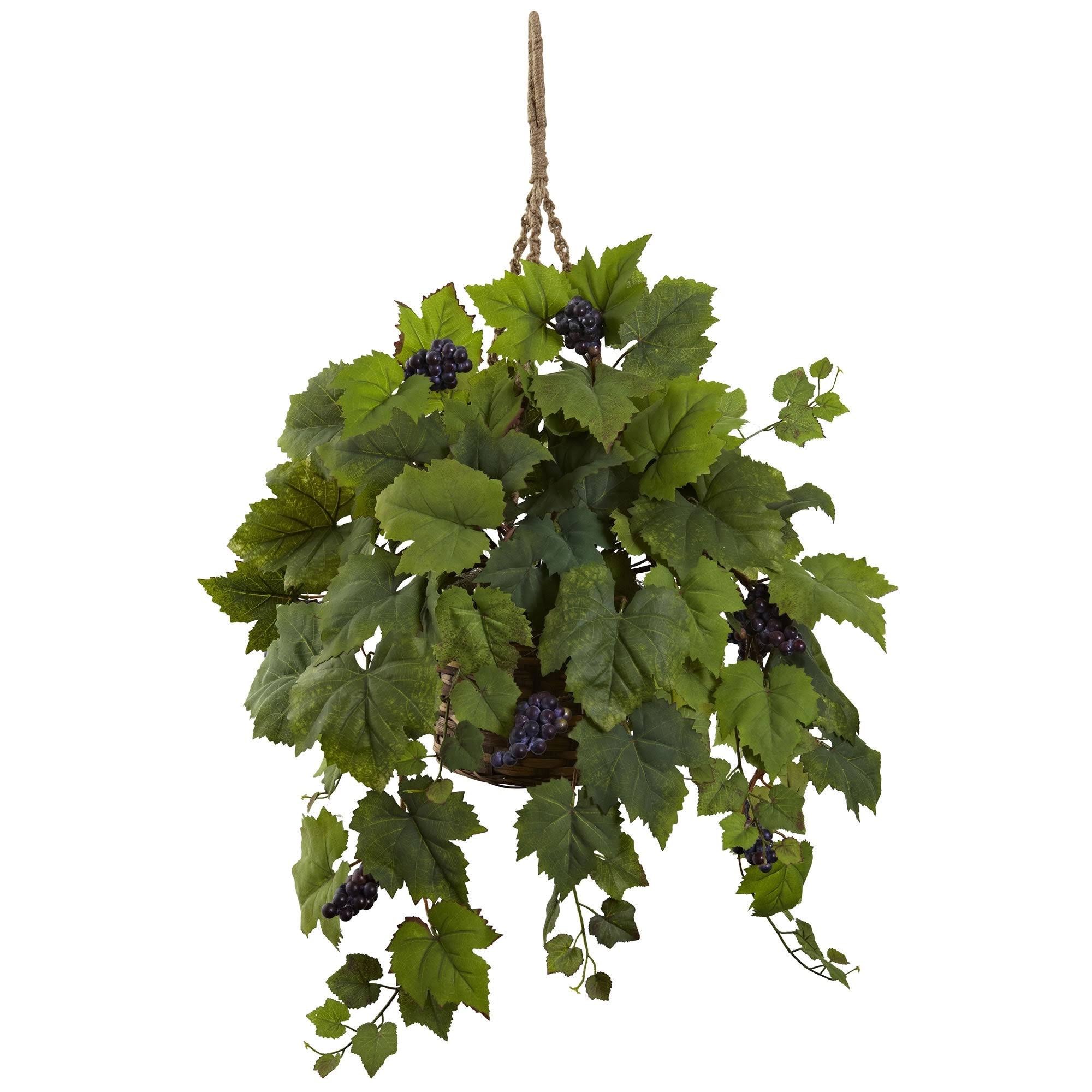 Grape Leaf Hanging Basket - As Pictured DG_OGKF9JUV