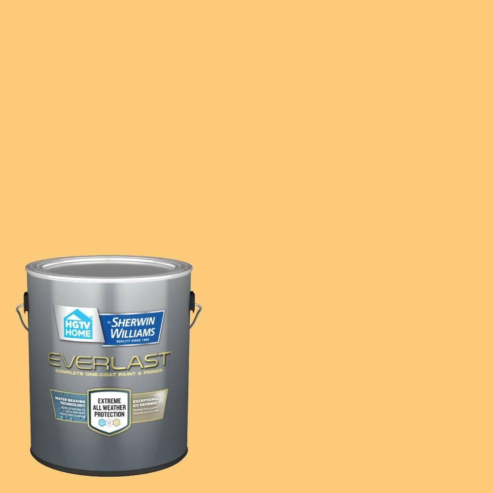 HGTV Home by Sherwin-Williams Everlast Satin Afternoon Hgsw1164 Exterior Paint (1-Gallon) | HGSW1164-833028 W3_WYX4XTQ3