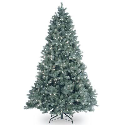Omusa Blue Fir Christmas Tree with Clear/White Lights Size 6' H 8G_CBXWYYEC
