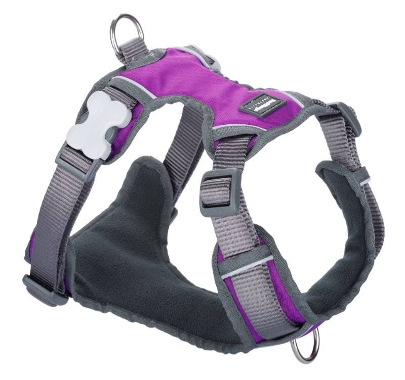 Red Dingo Padded Dog Harness Large Purple FG_OTH0KFKH