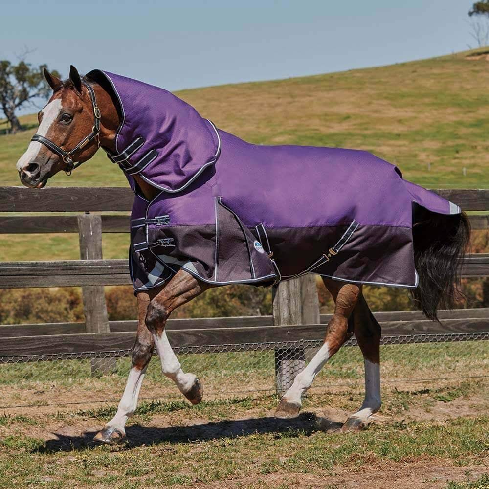 Weatherbeeta ComFiTec Plus Dynamic 0g Detach A Neck Turnout - Purple 9V_B5QYEPID