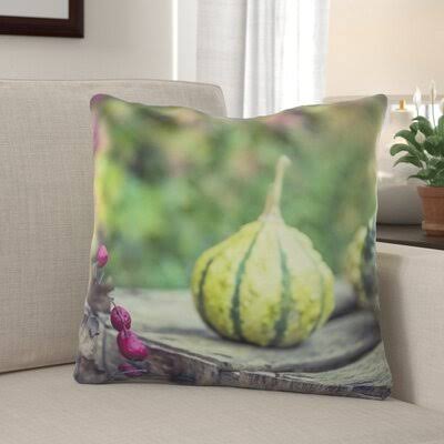 Heim Gourd Indoor/Outdoor Throw Pillow The Holiday Aisle C9_0GWKDSL9
