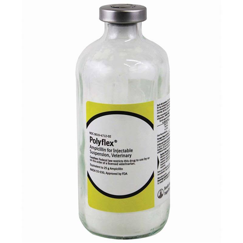 Polyflex Injection For Horses & Livestock, 25 B2_RSNFPRKW