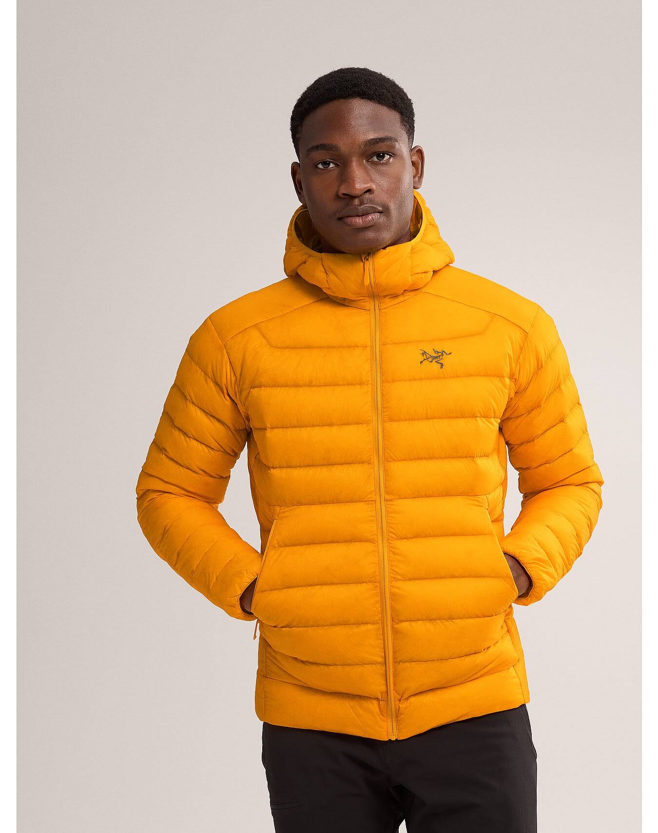 Arc'teryx Cerium Hoody Men's, Edziza, Size KU_5BGYA8ND