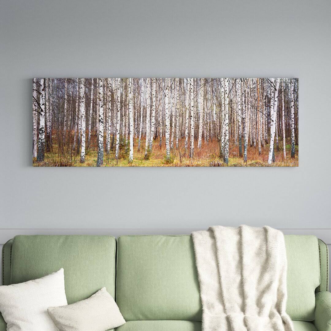 Birch Trees In A Forest - Wrapped Canvas Photograph Print Size: 16 H X 48 W X 1.5 KF_W6T9ZLSC