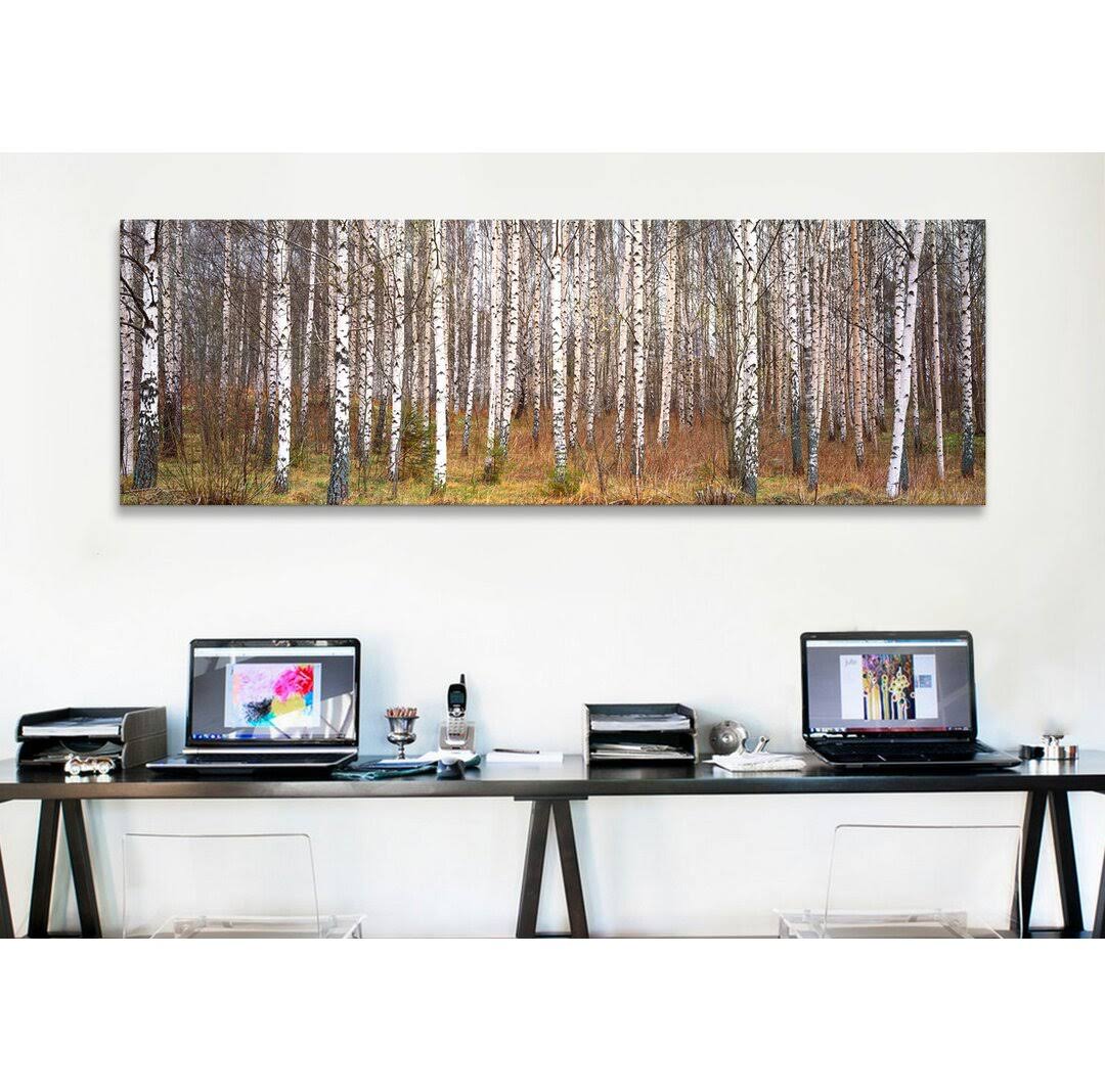 Birch Trees In A Forest - Wrapped Canvas Photograph Print Size: 16 H X 48 W X 1.5 KF_W6T9ZLSC
