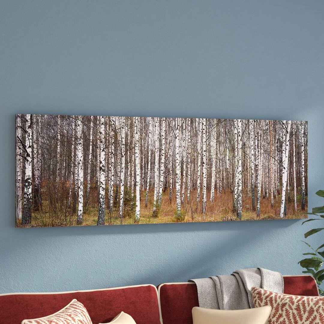 Birch Trees In A Forest - Wrapped Canvas Photograph Print Size: 16 H X 48 W X 1.5 KF_W6T9ZLSC