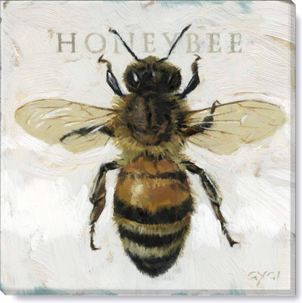 Darren Gygi Gallery Wrapped Honeybee Canvas, KU_REOJRZCK